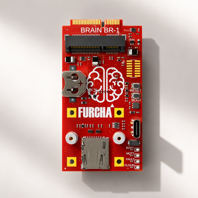 BR-1 Brain Module